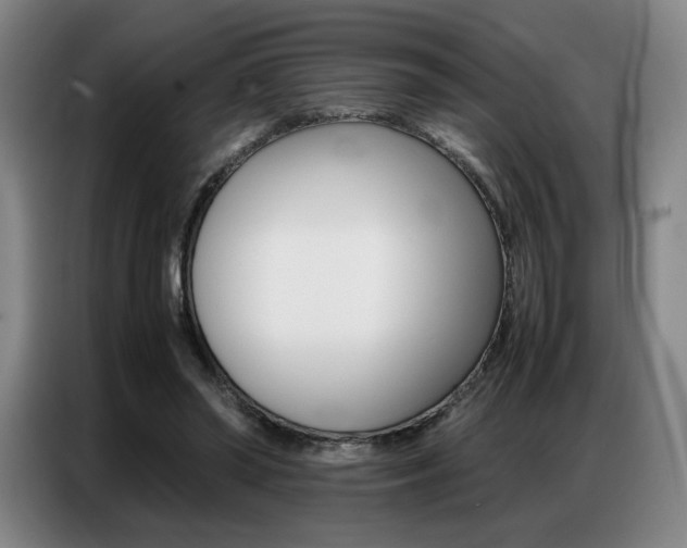 X0000087360398200704200830