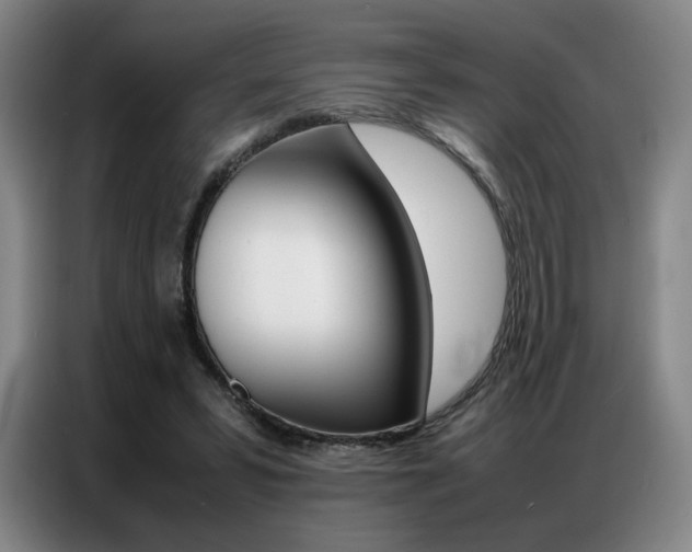X0000087360399200704200830