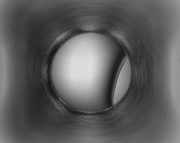 X0000087360400200704200830
