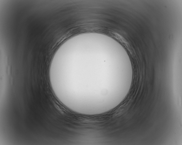 X0000087360405200704200830