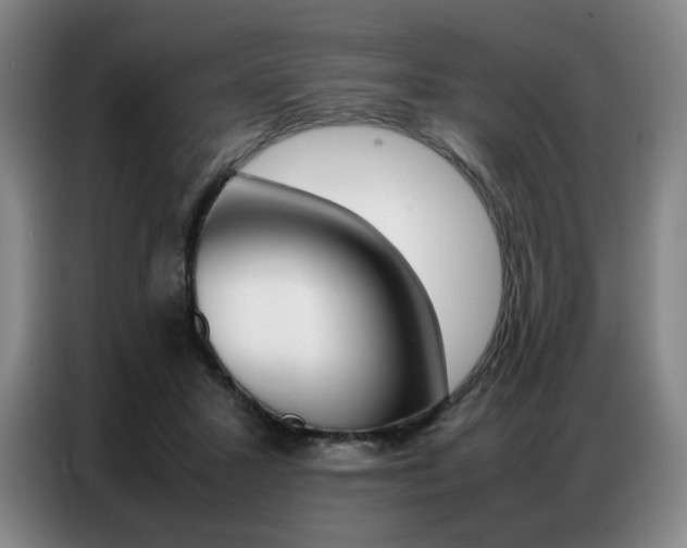 X0000087360407200704200830