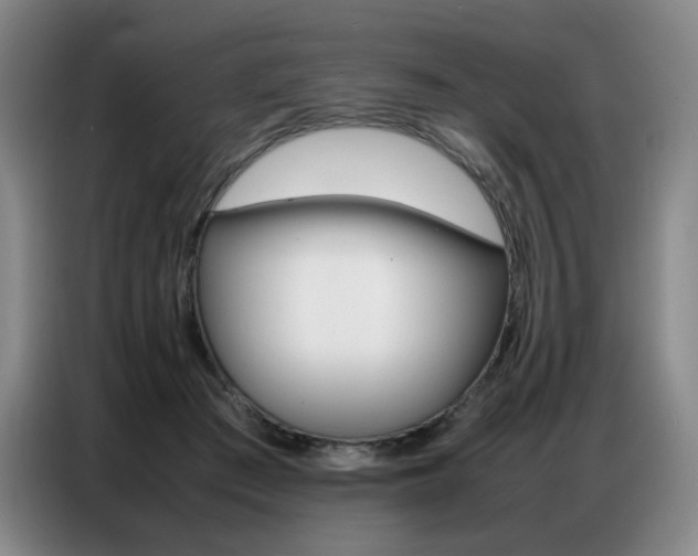 X0000087360409200704200830