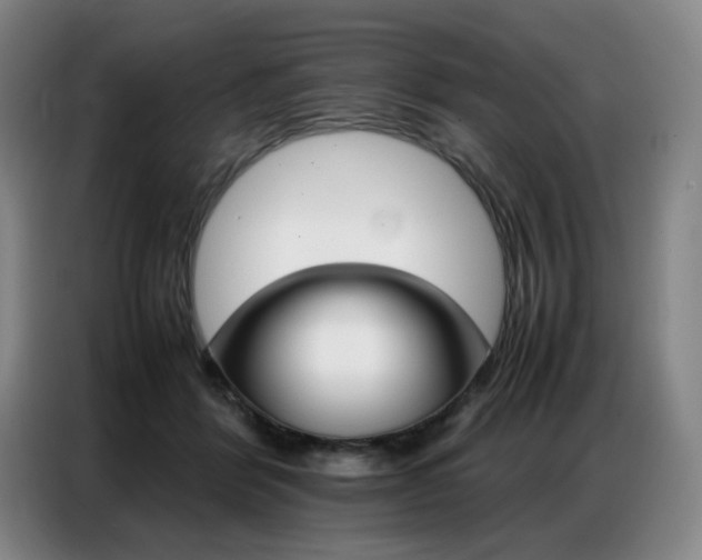 X0000087360412200704200830