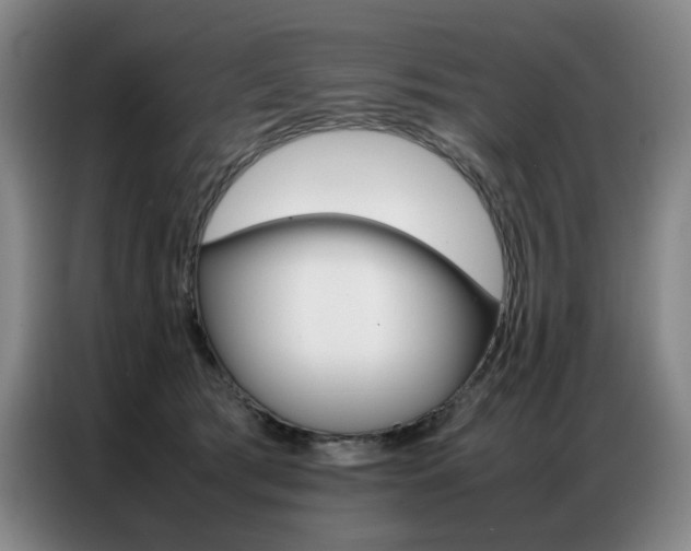 X0000087360417200704200830