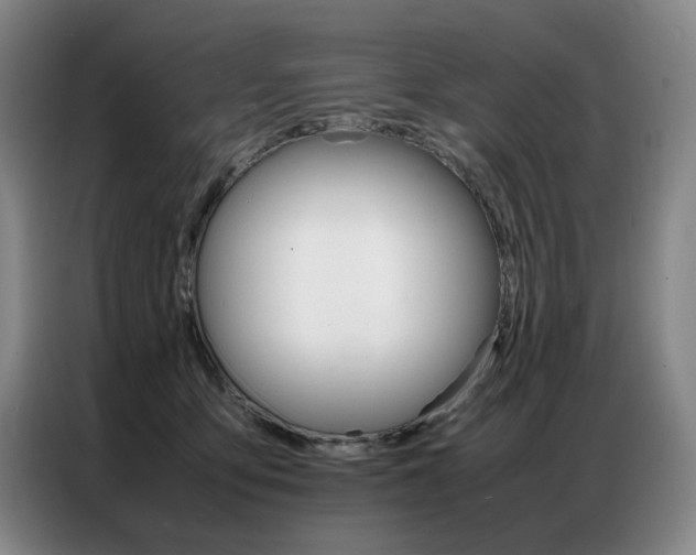 X0000087360419200704200830