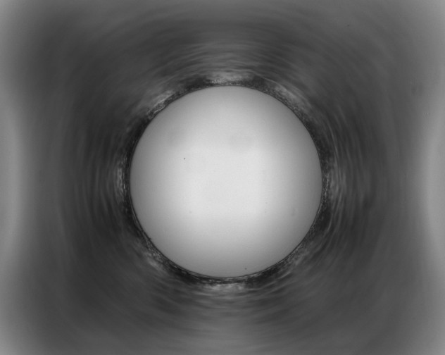 X0000087360426200704200830