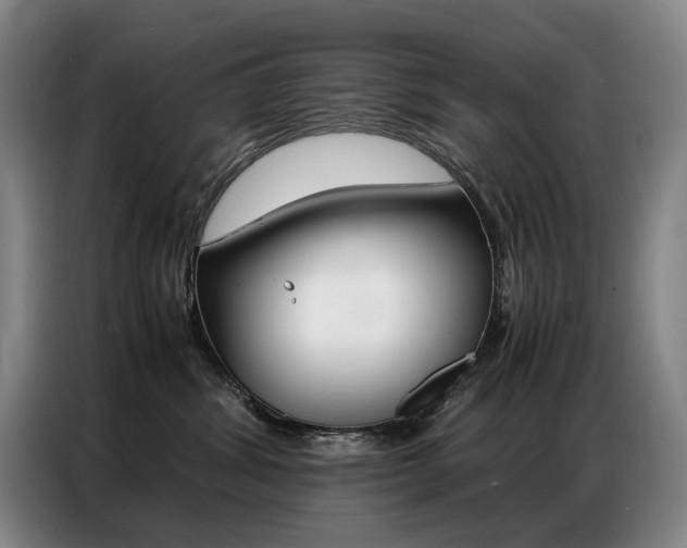 X0000087360428200704200830