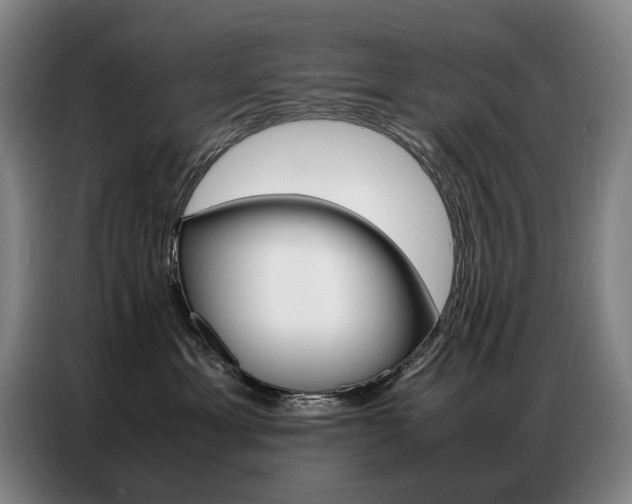 X0000087360429200704200830