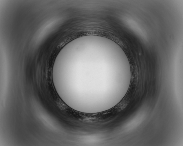 X0000087360430200704200830