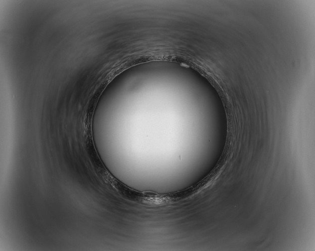 X0000087360432200704200829