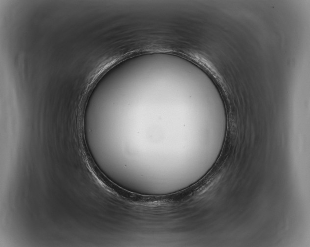 X0000087360433200704200829