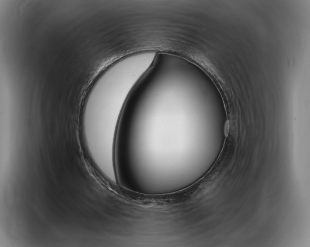 X0000087360434200704200829