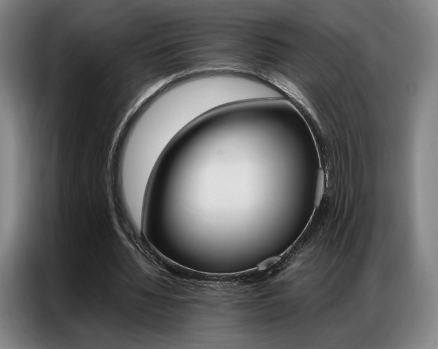 X0000087360436200704200829
