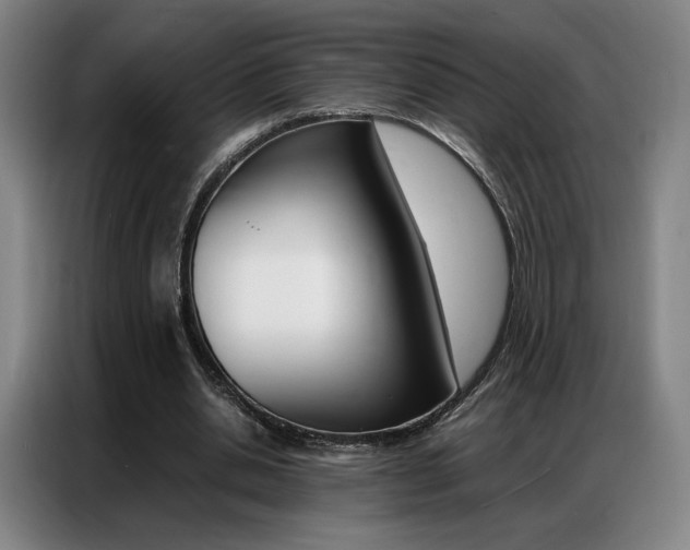 X0000087360438200704200829