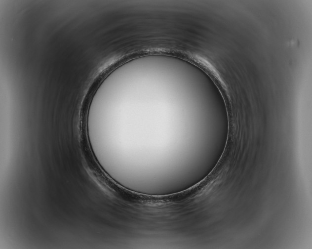 X0000087360439200704200829