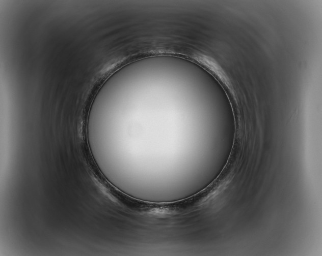 X0000087360441200704200829
