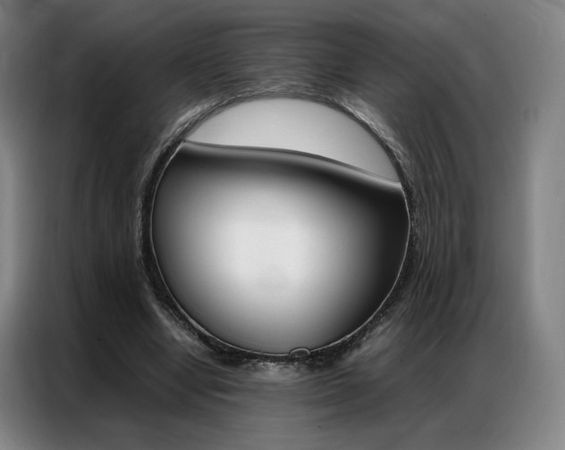 X0000087360442200704200829