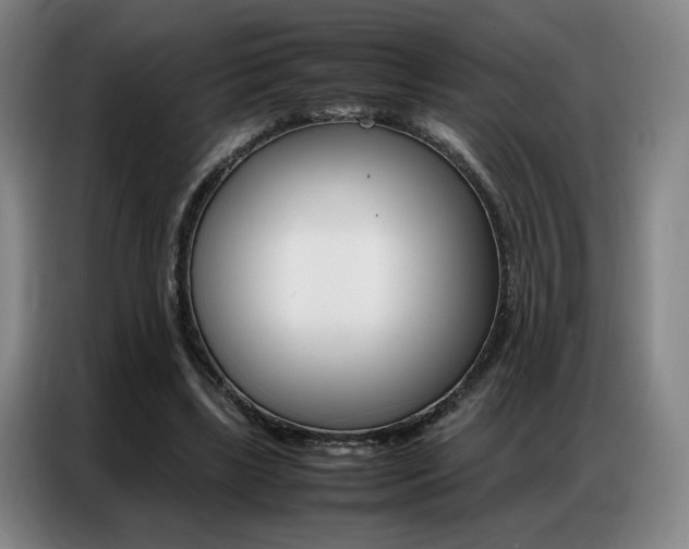X0000087360443200704200829