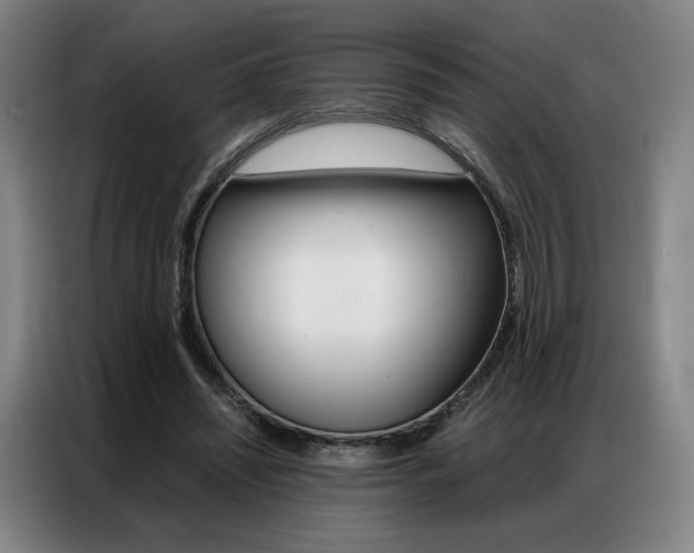 X0000087360444200704200829