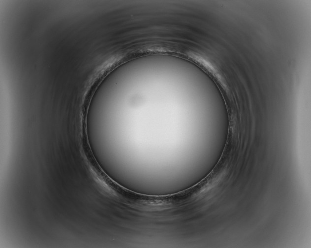 X0000087360445200704200829