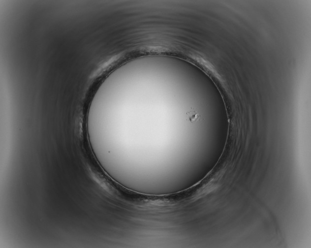 X0000087360446200704200829