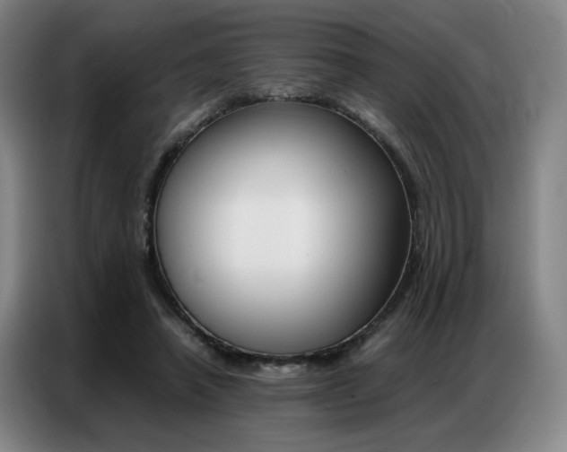 X0000087360450200704200829
