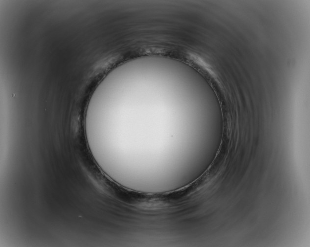 X0000087360451200704200829