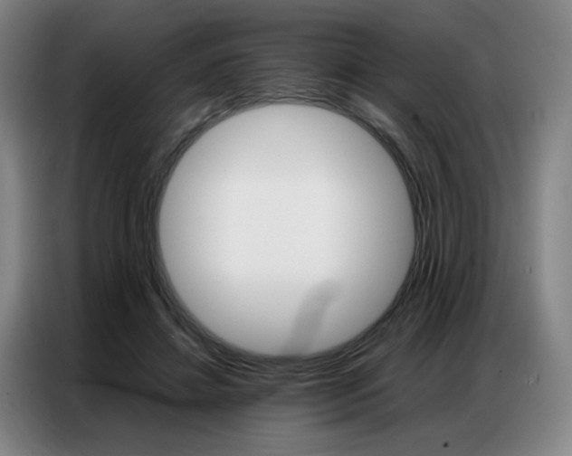 X0000087360452200704200829