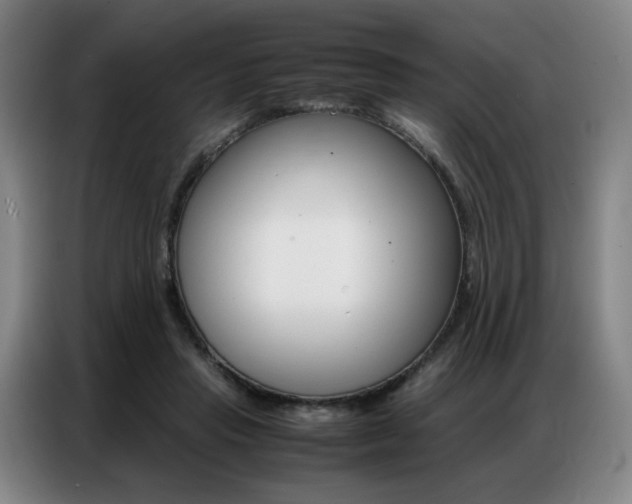 X0000087360453200704200829