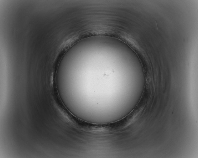 X0000087360454200704200829