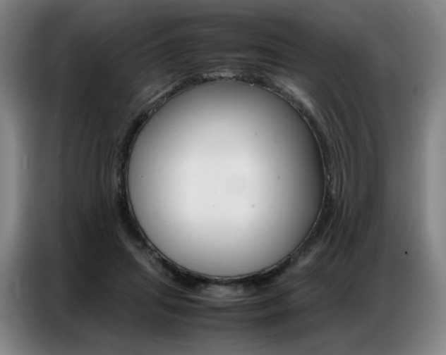 X0000087360455200704200829