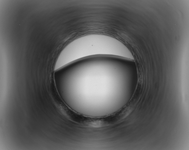 X0000087360456200704200829