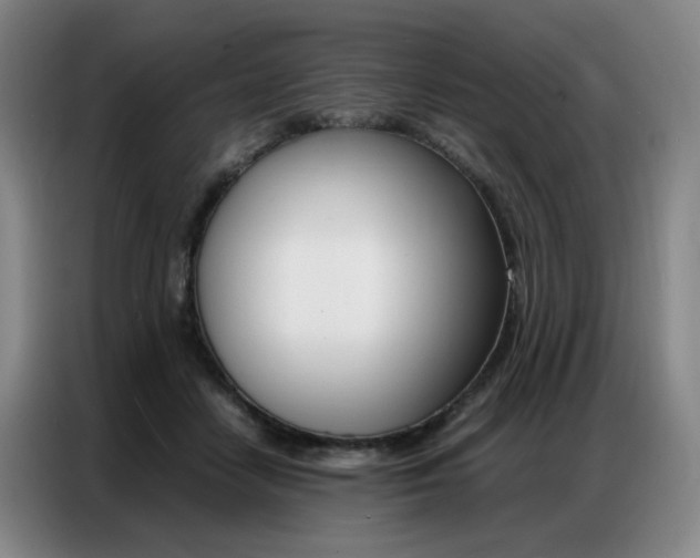 X0000087360458200704200829