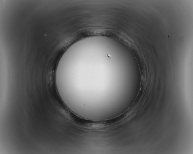 X0000087360462200704200829