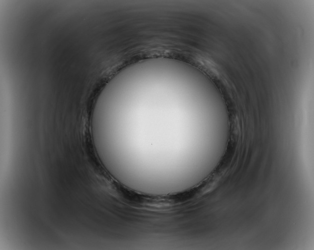 X0000087360463200704200829