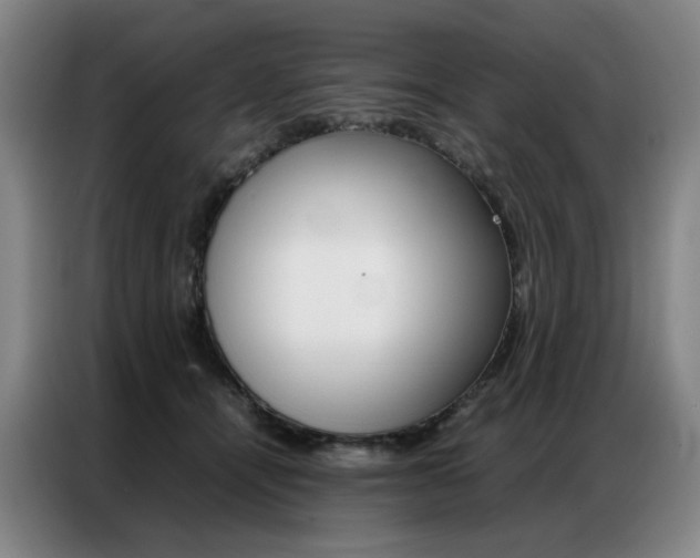 X0000087360464200704200829