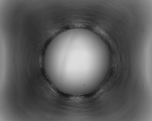 X0000087360465200704200829