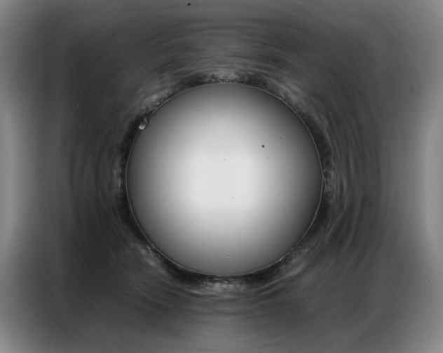 X0000087360466200704200829