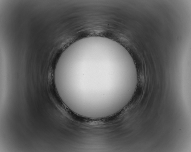 X0000087360468200704200829