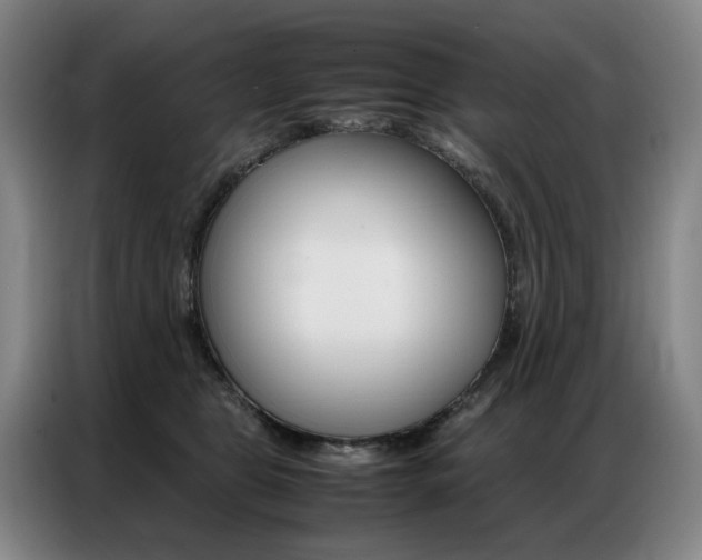 X0000087360469200704200829
