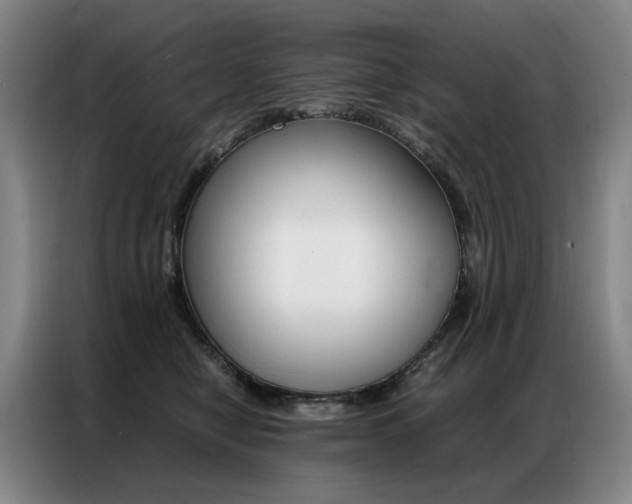 X0000087360470200704200829