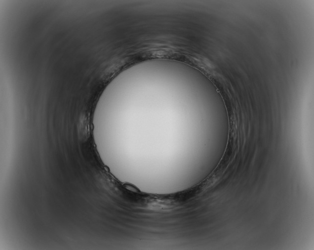 X0000087360471200704200829