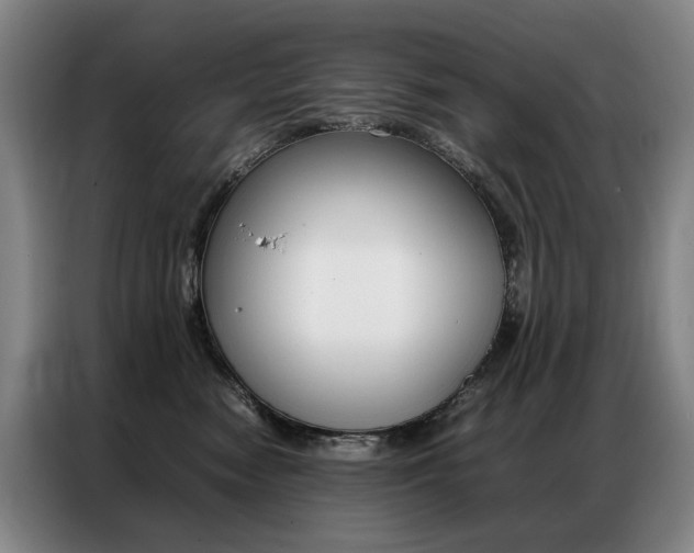 X0000087360474200704200829