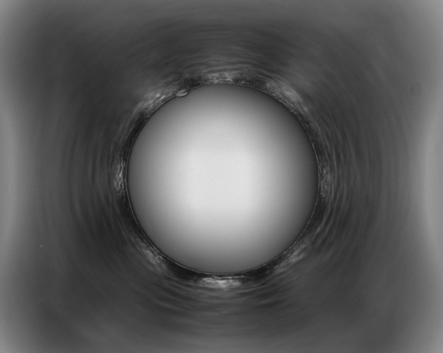 X0000087360477200704200829