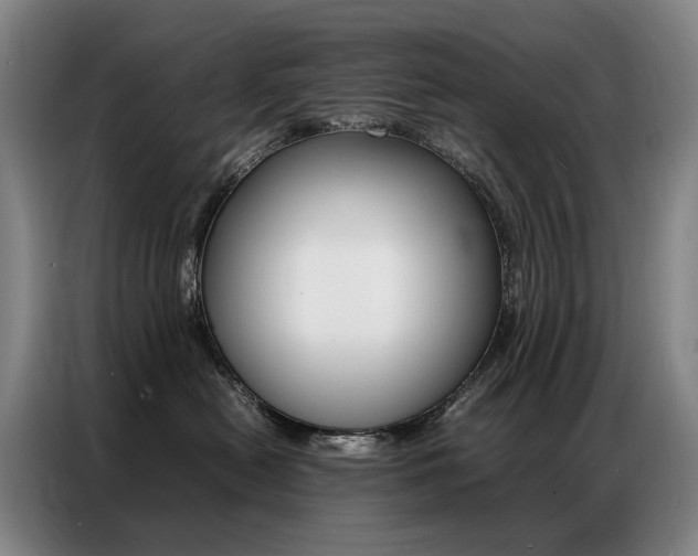 X0000087360478200704200829