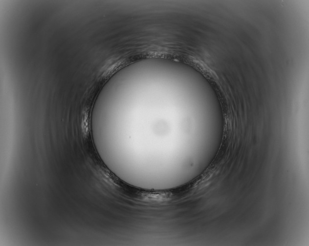 X0000087360479200704200829