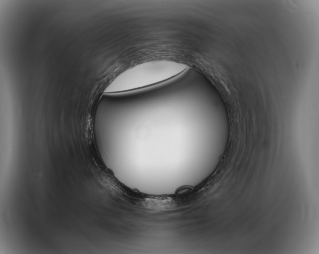 X0000087360480200704200829