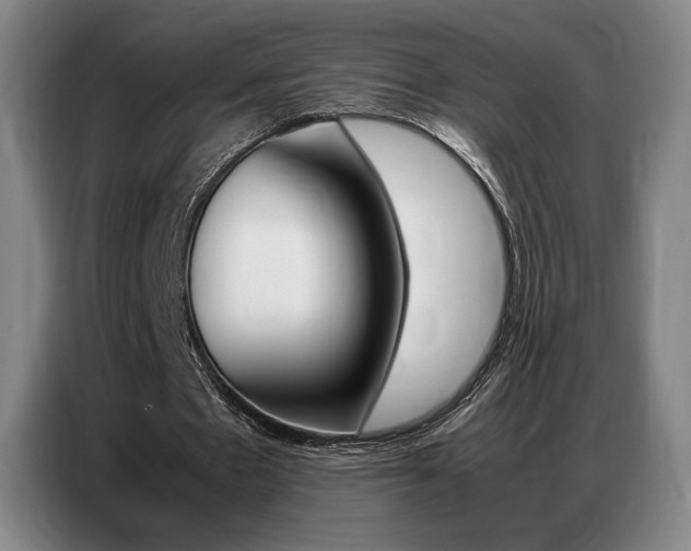 X0000087360481200704200829