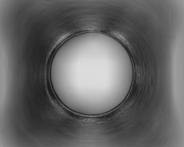 X0000087360482200704200829