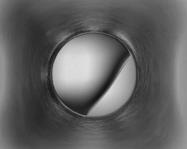 X0000087360483200704200829